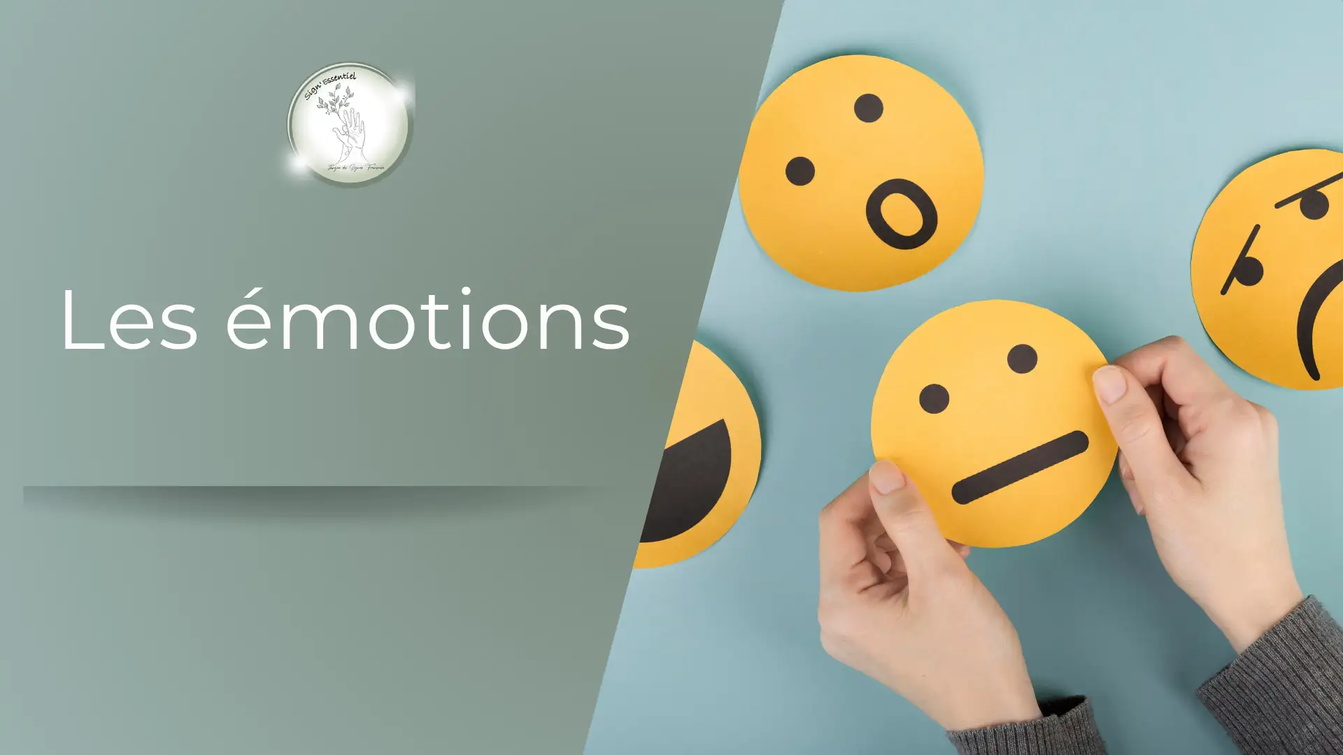 Les Émotions