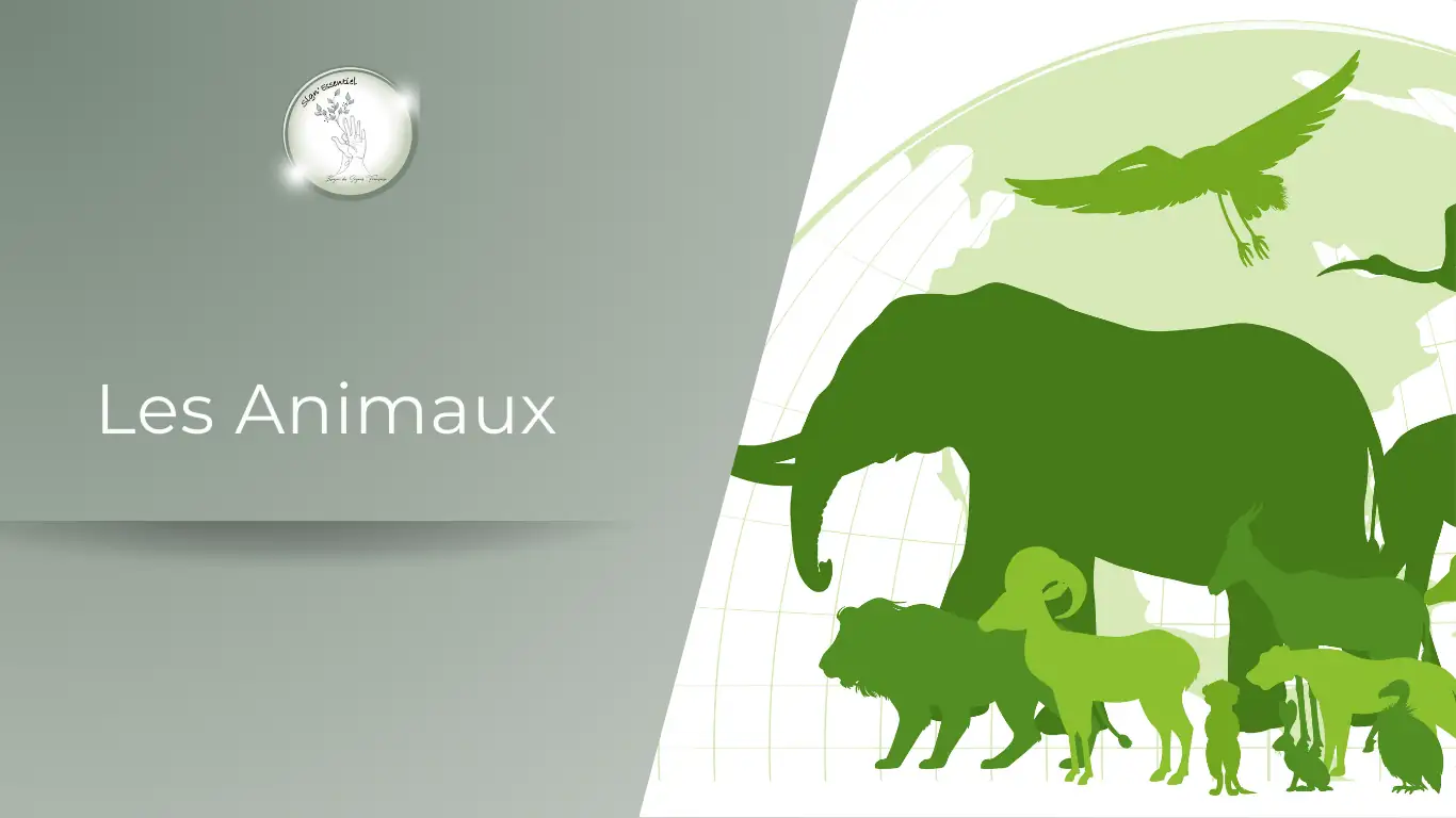 Les animaux