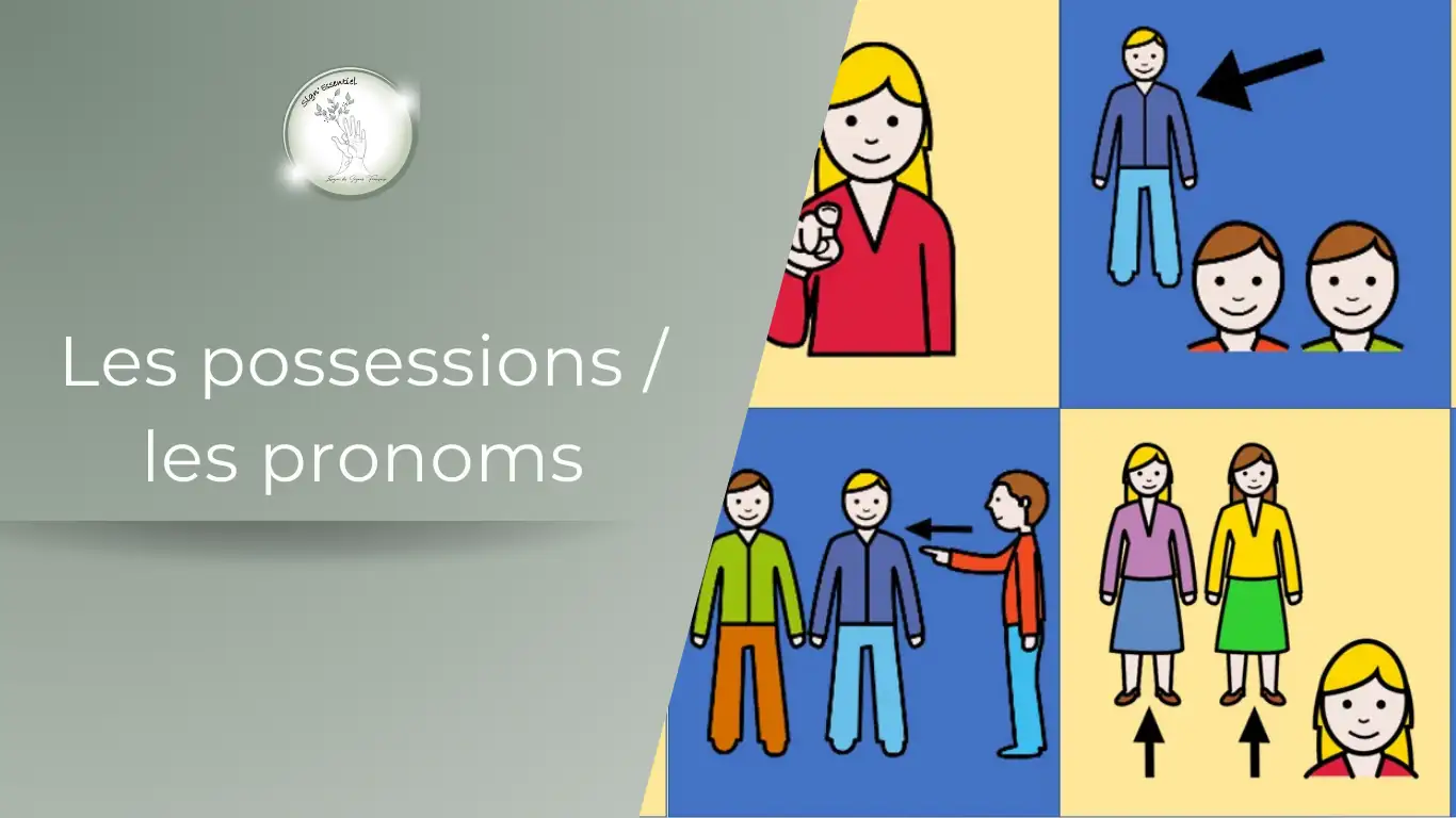 Les possessions / les pronoms