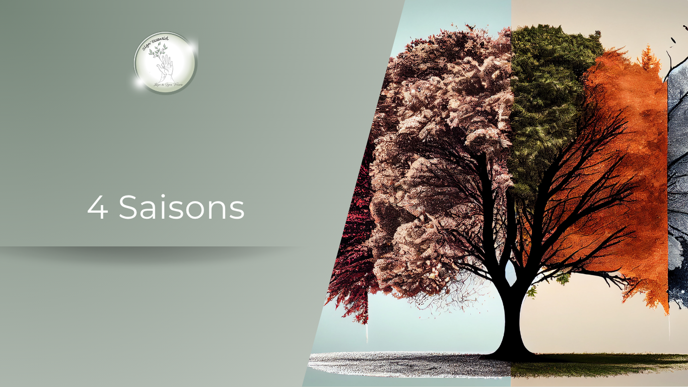 4 Saisons